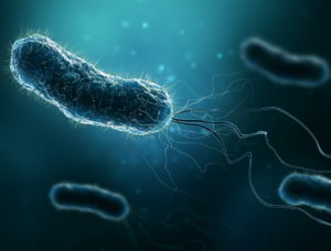 Legionella Lawsuits Case Law Review and Legal Precedents