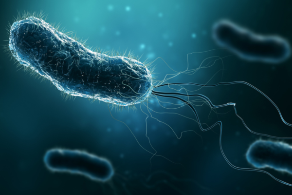 Legionella Lawsuits Case Law Review and Legal Precedents